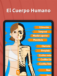 Captura 15 Atlas Anatomía: Cuerpo Humano android