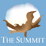 Sourcing USA Summit icon