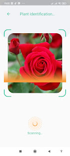 Plant Identification - Plant Identifier App for pc screenshots 2