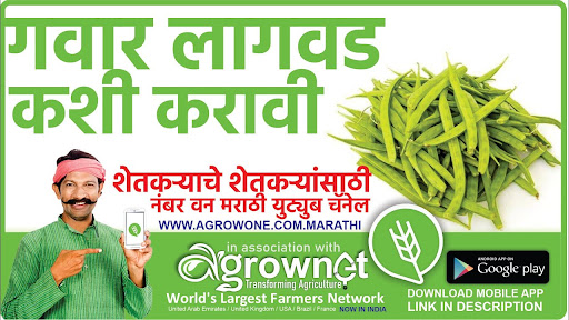 गवार लागवड #Agrownet™ Screen 3