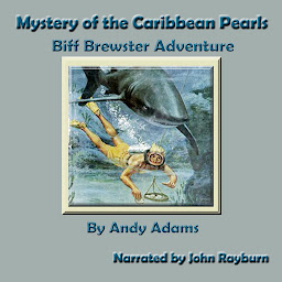「Mystery of the Caribbean Pearls: Biff Brewster Adventure」圖示圖片
