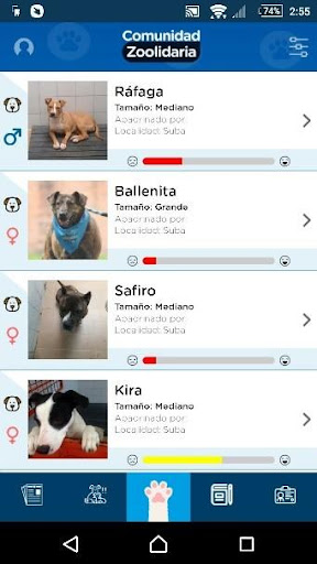 Android application Distrito Appnimal screenshort
