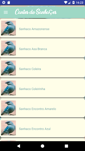 Visualização do aplicativo