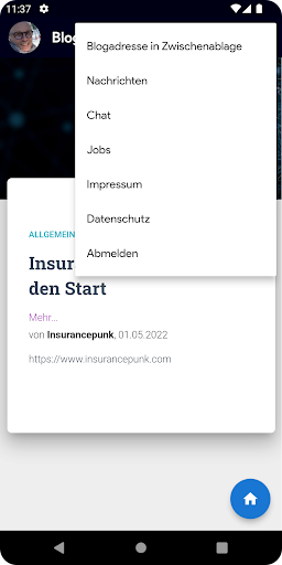 Insurance Punk Screen 2