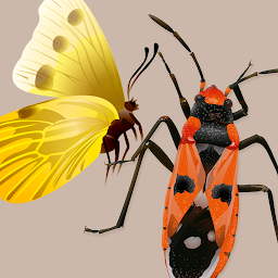 Gambar ikon Key to Insect Orders – Revised