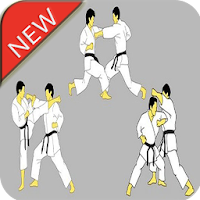 Karate Martial Arts Technique