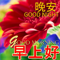 Chinese Morning to Night Bless
