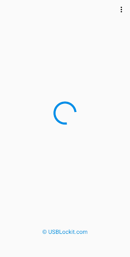 USB Lockit - Pendrive Password Screen 3