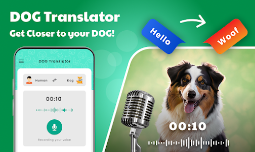 Dog Translator: Dog trainer