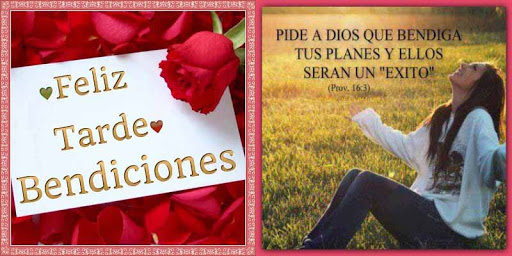 Bendiciones para toda ocasión