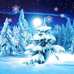 Icon image Winter Forest Live Wallpaper