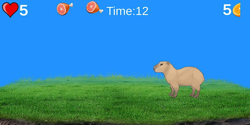 Capybara Screen 3