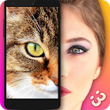 Face Scanner Cats Prank icon
