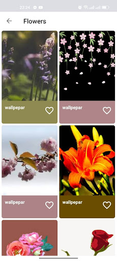 Wallpepars