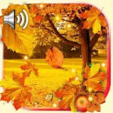 Autumn Sounds icon