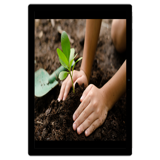 How To Plant a Tree Screen 3