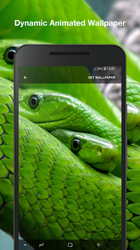 Snake Live Wallpaper Pro Screen 2