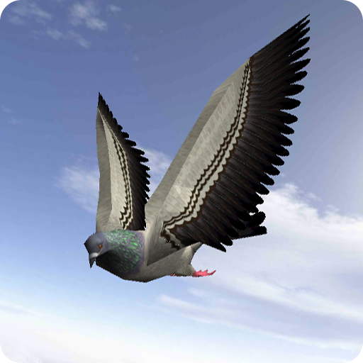 City Bird Fly Simulator 2015 1.0 Icon