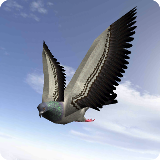 City Bird Fly Simulator 2015  Icon