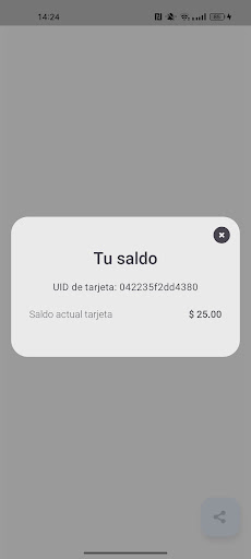 Mi Saldo (Acapulco) Screen 3