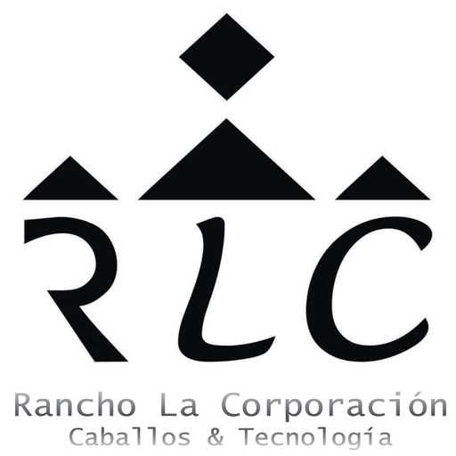 Vueltómetro logo