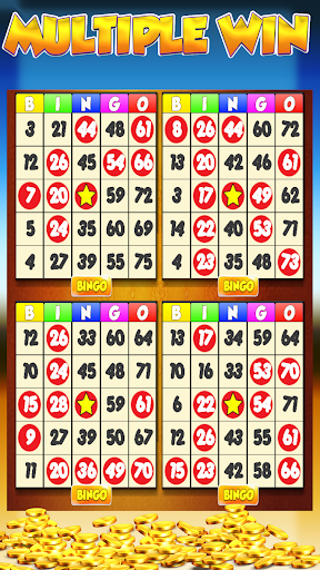 Lucky Bingo: Fun Casino Games 9