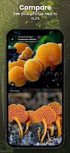 ShroomID - Mushroom Identifier android2mod screenshots 14