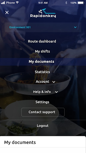 Rapidonkey Courier - Europe Screen 2