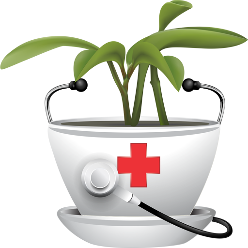 خواص گیاهان دارویی و میوه ها logo