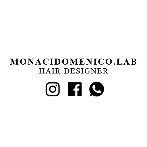 Monaci Domenico.Lab logo