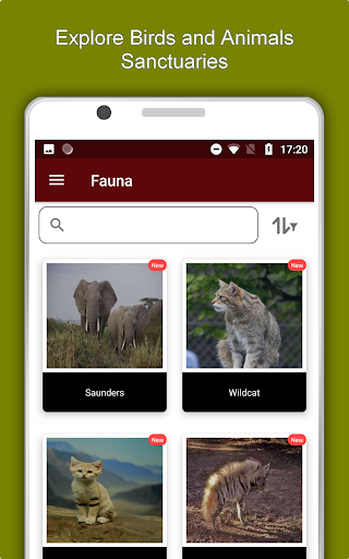 Dubai Travel and Explore Offlin