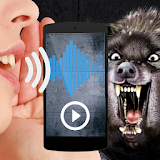 Werewolf translator audio joke icon