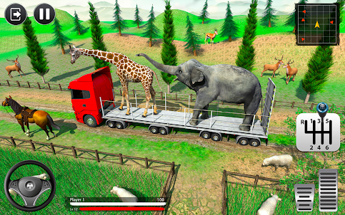 Wild Animals Transport Truck