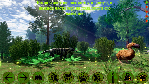 Android application Янтарный лес screenshort