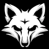 FOX TUNNEL PRO icon