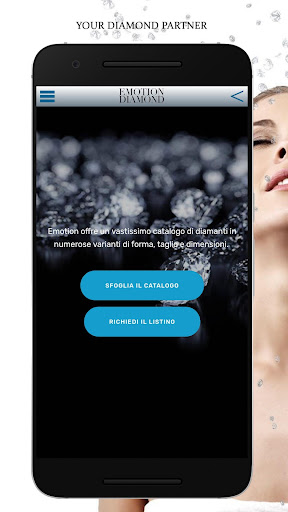 Emotion Diamond Screen 2