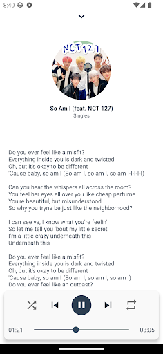 NCT 127 Songs Offline