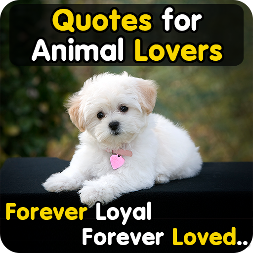 Animal Lover Quotes - Dog Love - Apps on Google Play