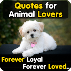 Download Animal Lover Quotes - Dog Love (3).apk for Android 