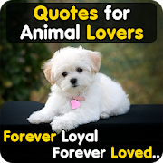 Animal Lover Quotes - Dog Lover Status - Cat Love
