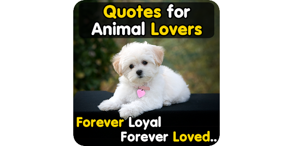 Animal Lover Quotes - Dog Love – Apps on Google Play
