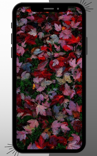 Android application Autumn Wallpaper screenshort