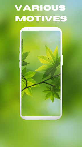 Green Wallpaper Screen 2