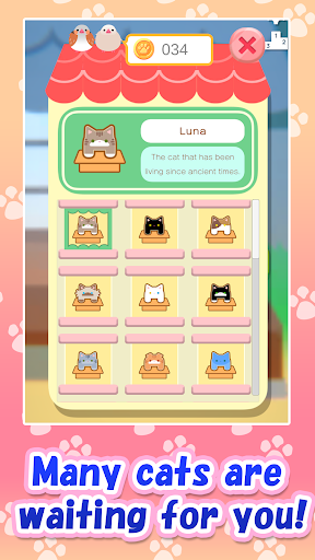 Aerial Cat Screen 2