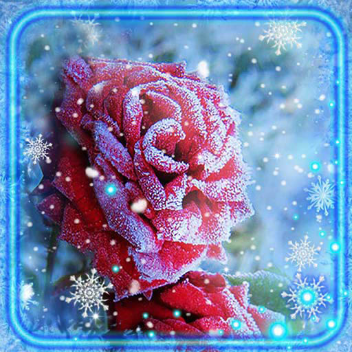 Snow Roses Live Wallpaper Download on Windows
