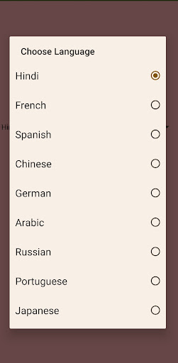 Quick Translator Screen 2