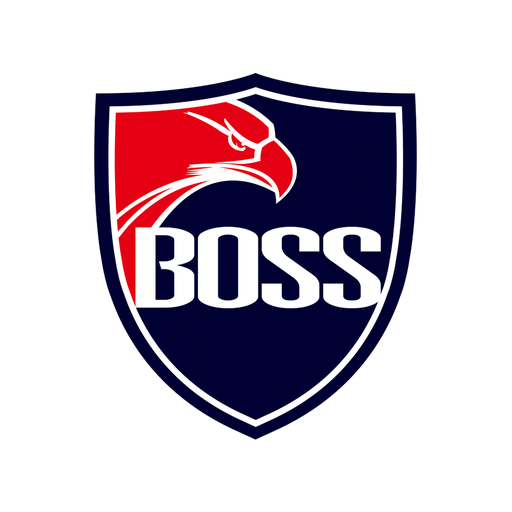 BOSS CCTV logo