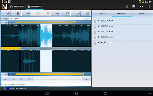 Android application Nibelung Client screenshort