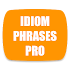 Best English Idioms & Phrases (Pro)3.4.1 (Paid)