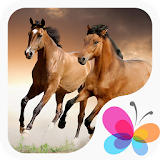 Horse wallpapers HD & Ringtone icon